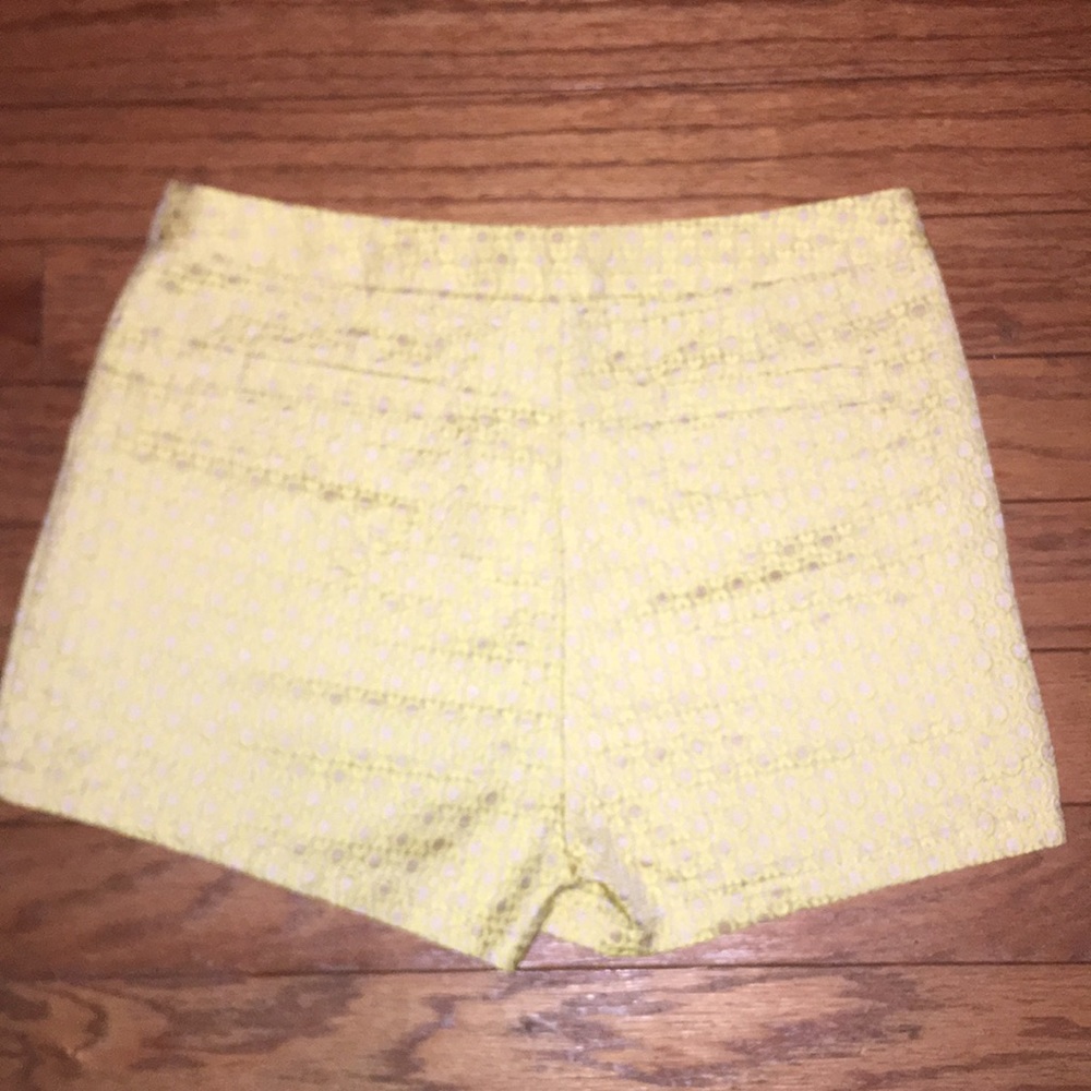 Verty Shorts